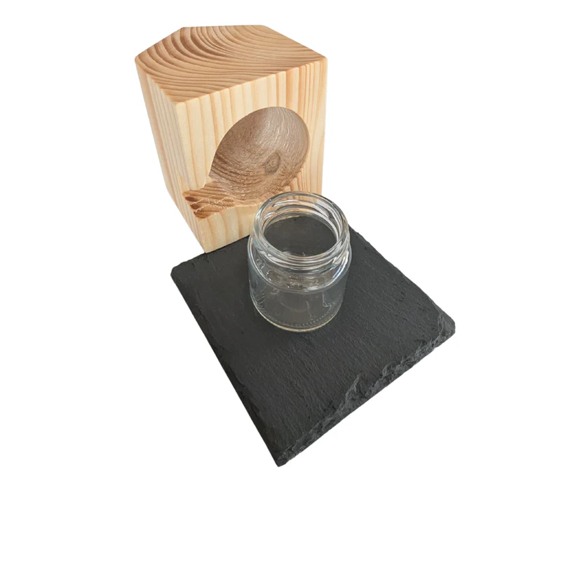 Guter Anbieter für Fruchtfliegenfallen ohne Chemie Mainz-Bingen