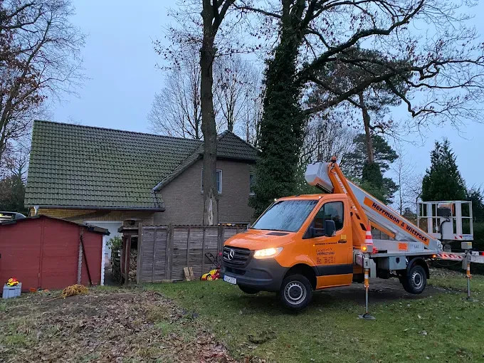 Experten für Garten-Landschaftsbau in Erkner und Umland