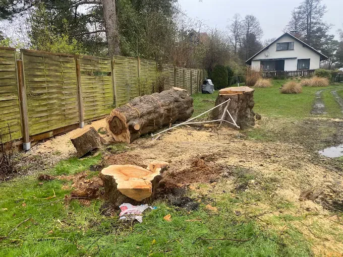 Baumfällung und Garten-Landschaftsbau in Erkner