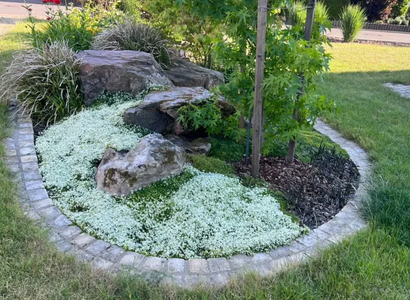 Beste Garten- und Baumpflege in Schneeberg, Rhein-Main