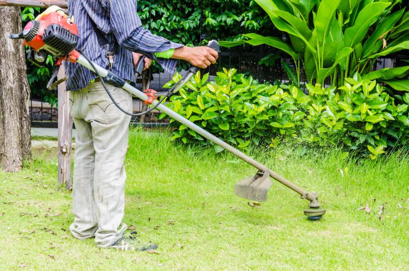 Professionelle Gartengestaltung in Aschaffenburg