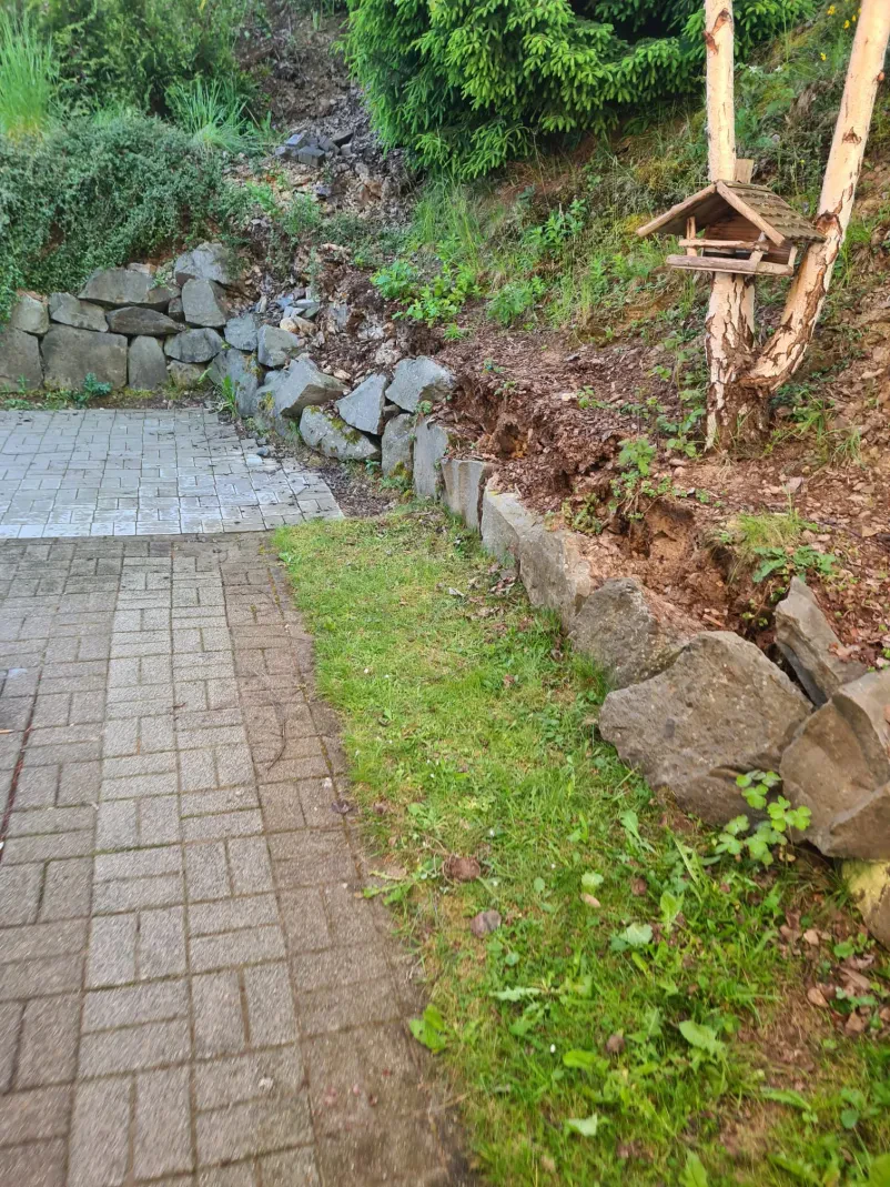Gartenpflege für Heckenschnitt und Rasen in Trier