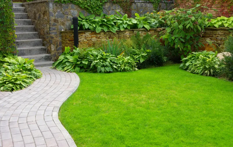 Zuverlässige Gartenbetreuung in Offenburg