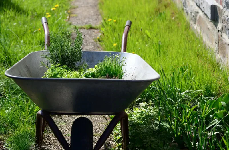 Die beste Wahl für Gartenbau und Abrissarbeiten in Darmstadt-Dieburg