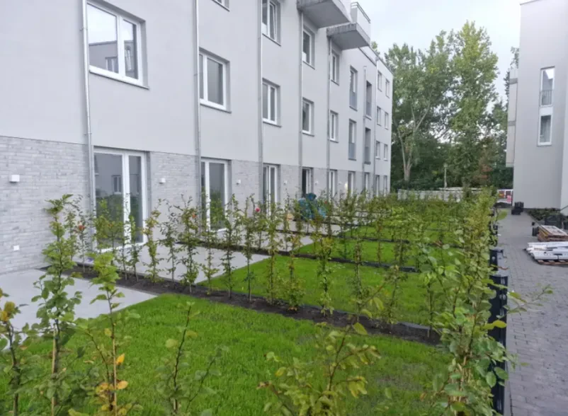 Professionelle Neuanlage von Rasenflächen für ein gepflegtes Grundstück in Berlin und Umgebung