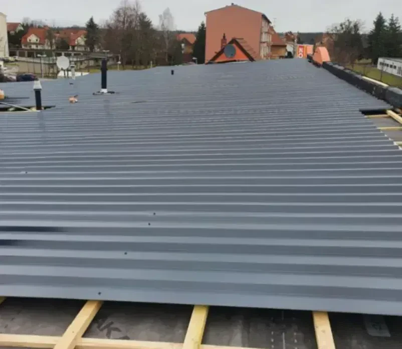 Professioneller Dachmeister für Reparaturen und Sanierungen im Großraum Sachsen