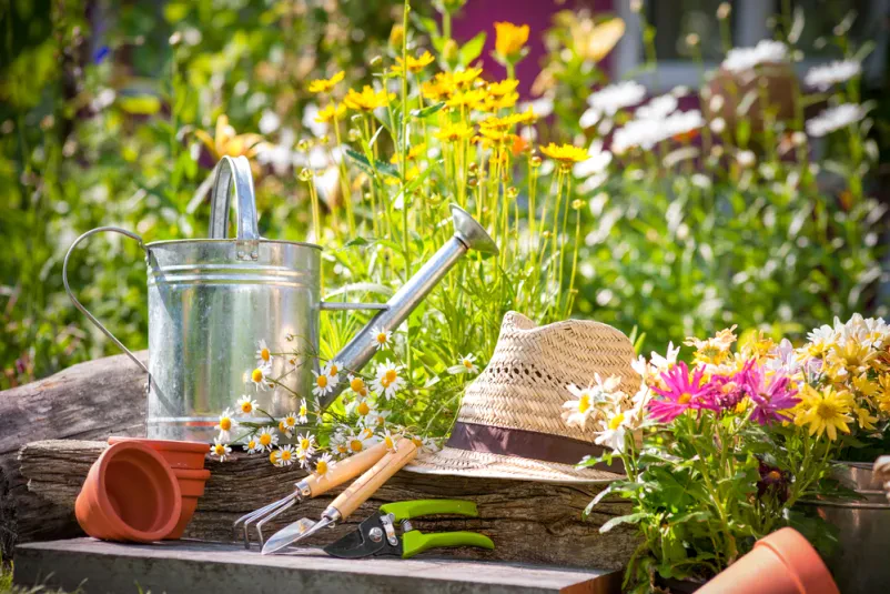Professionelle Garten- und Landschaftsbauer in Berching und Oberpfalz