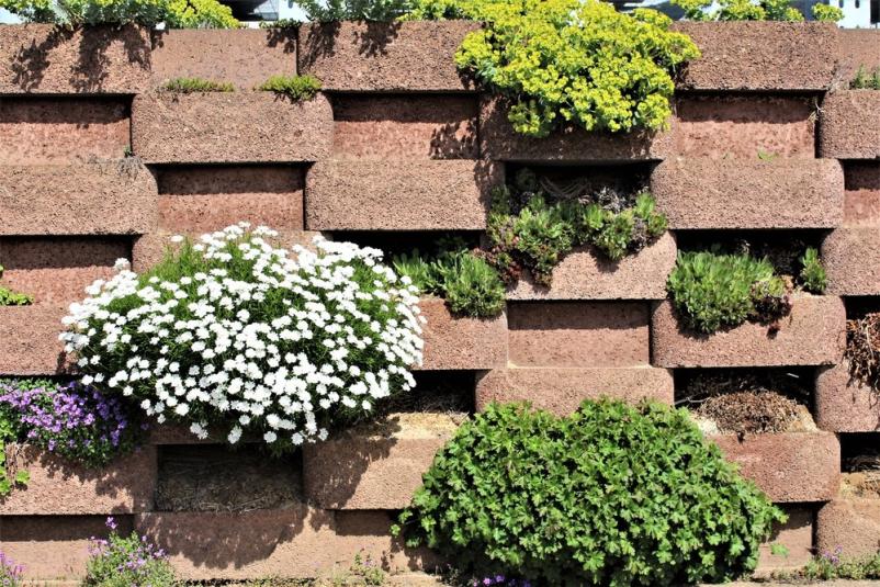 Gartengestaltung Frankfurt