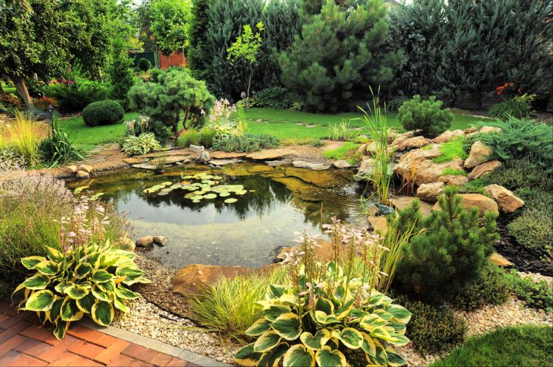 Soll es einen Teich in Ihrem Traumgarten geben?