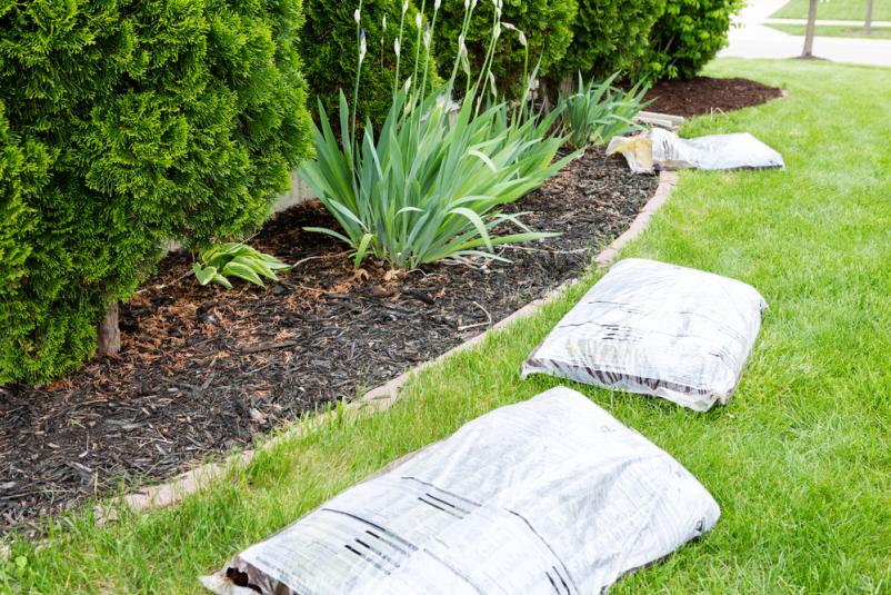 Profis für Garten- und Rasenpflege in Cloppenburg