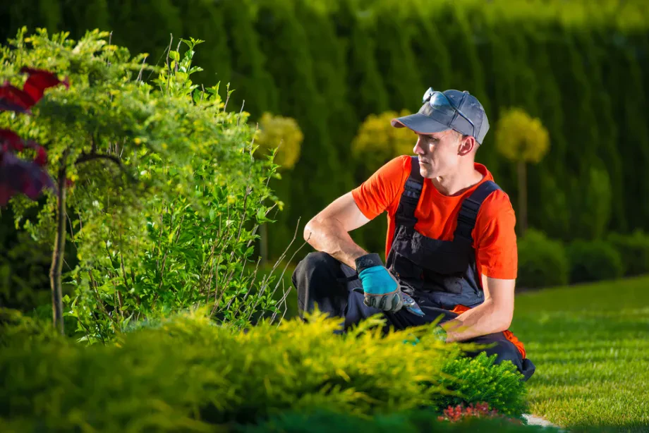 Welche Arbeiten rund um die Gartengestaltung können Sie einem Anbieter überlassen?