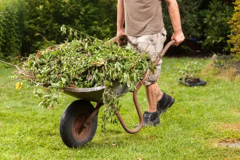 Das Angebot der besten Garten- und Landschaftsbaufirma