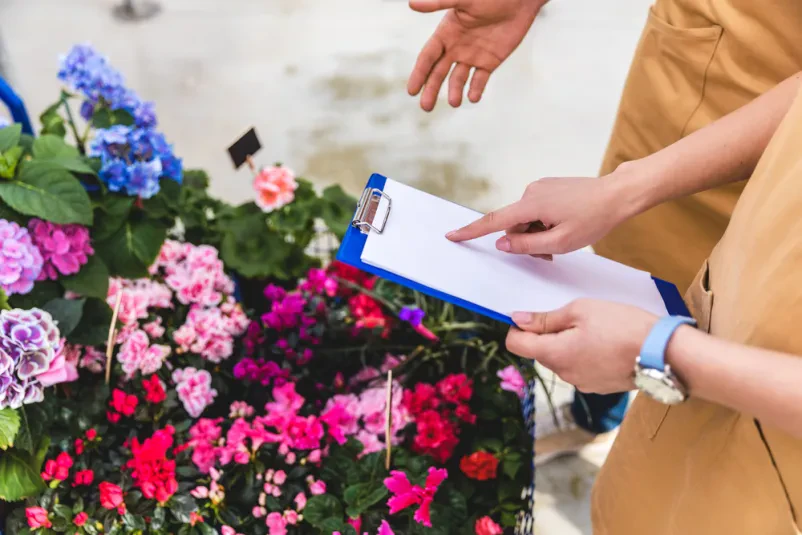 Zeitlose Gartenkonzepte von Gartenbauern in Berching und Oberpfalz