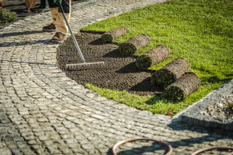 Wieso sich für eine Zusammenarbeit mit Niklas Lennartz Gartenbau entscheiden?