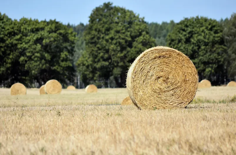 Rundballen-Wickeln vom Profi im Landkreis Neuenkirchen