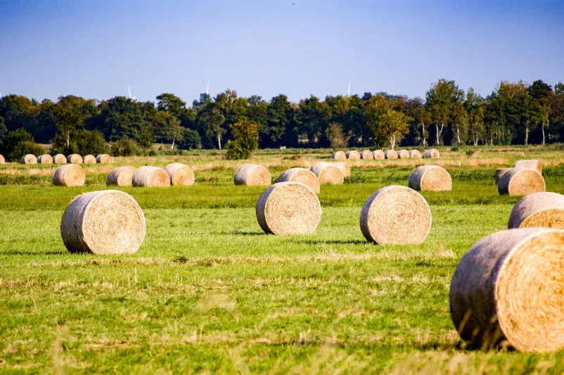 Professionelles Wickeln von Rundballen in Neuenkirchen und Umkreis