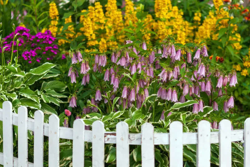 Streichen von Gartenzäunen im Landkreis Neunkirchen