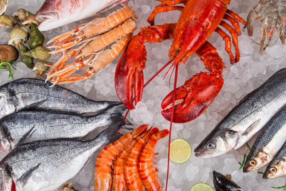 Frische und Qualität von Fischprodukten