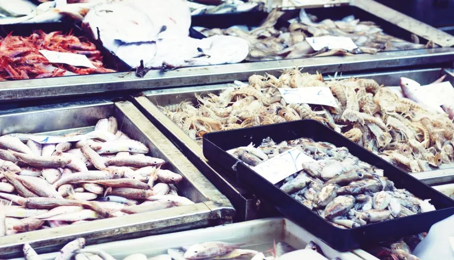 Nachhaltigkeit und verantwortungsvolle Fischerei