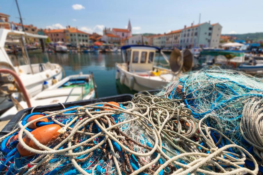 Haltungssysteme in der Fischzucht