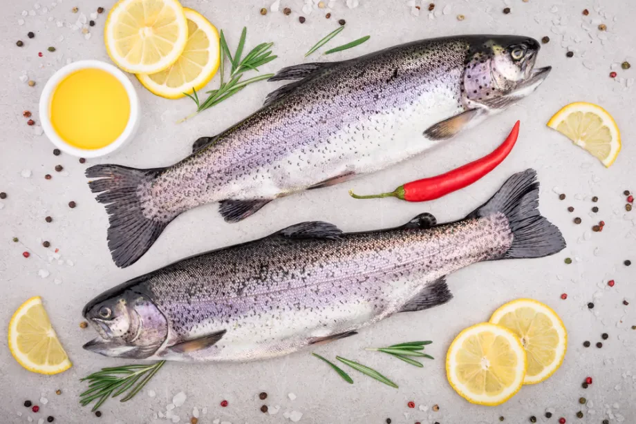 Wirtschaftliche Bedeutung der Fischzucht