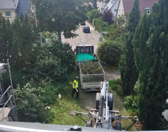 Moderne Zäune aus Holz, WPC oder Stahl gestalten in Gerolsheim und Umgebung