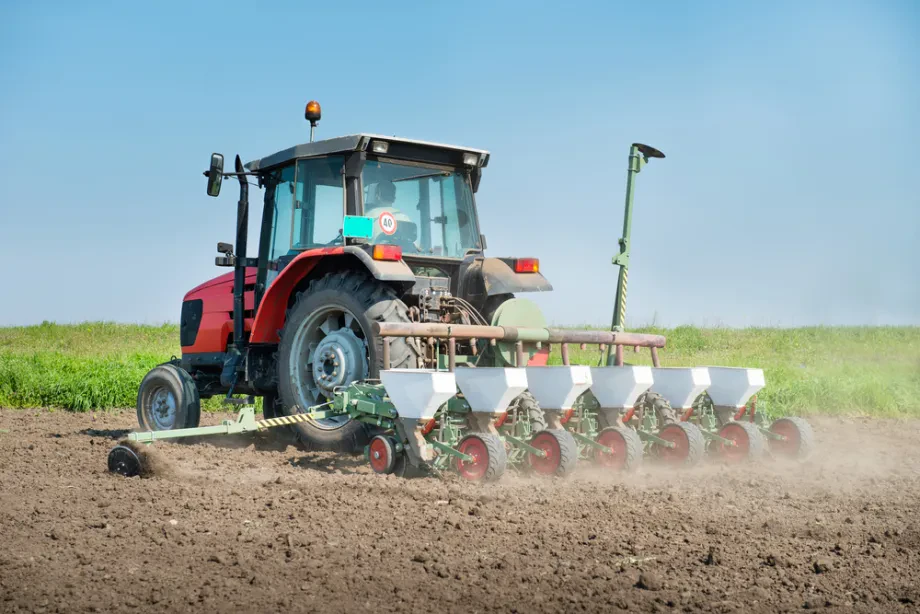 Bedeutung von Getreide und Feldfrüchten in der Landwirtschaft