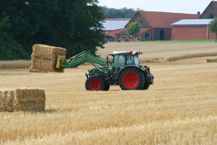Verarbeitung und Nutzung von Feldfrüchten