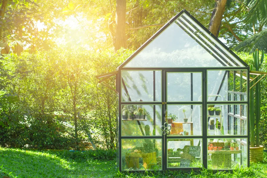 Gewächshaus im Garten aufstellen