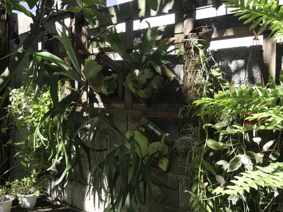 Vertikalen Garten für Ihr Zuhause gestalten