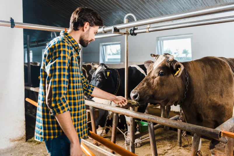 Stallkonzepte in Garrel und Umkreis