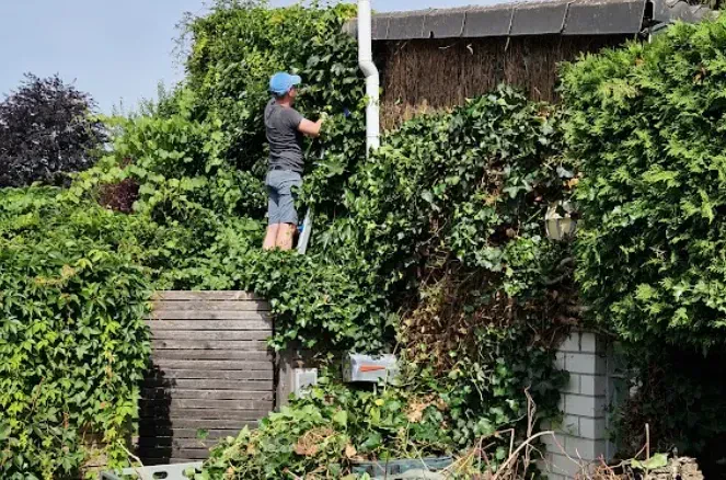 Vielseitige Gartenpflege für Außenanlagen in Ismaning und München