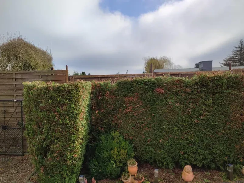 Gartenservice für Privatkunden Staßfurt