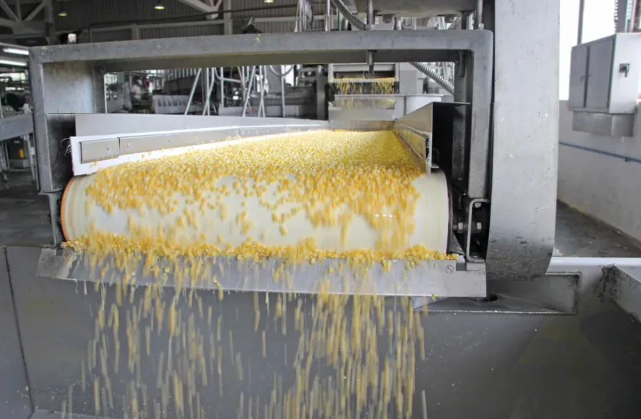 Produktion und Verarbeitung von Lebensmitteln