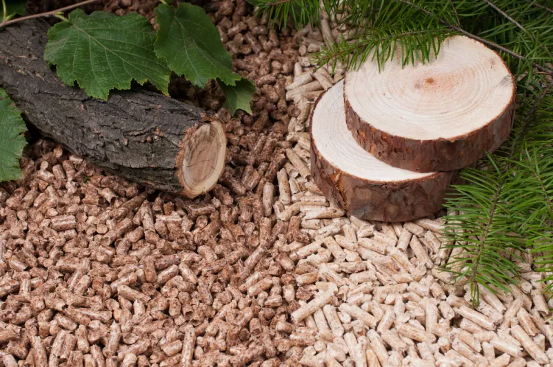 Briketts und Brennholz vom renommierten Brennholzhandel in Obergebra