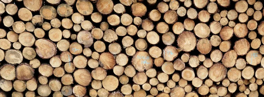 Grundlagen der Holzwirtschaft