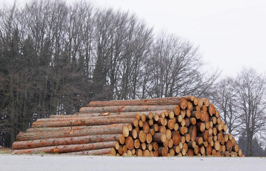 Holzernte und Rohstoffgewinnung