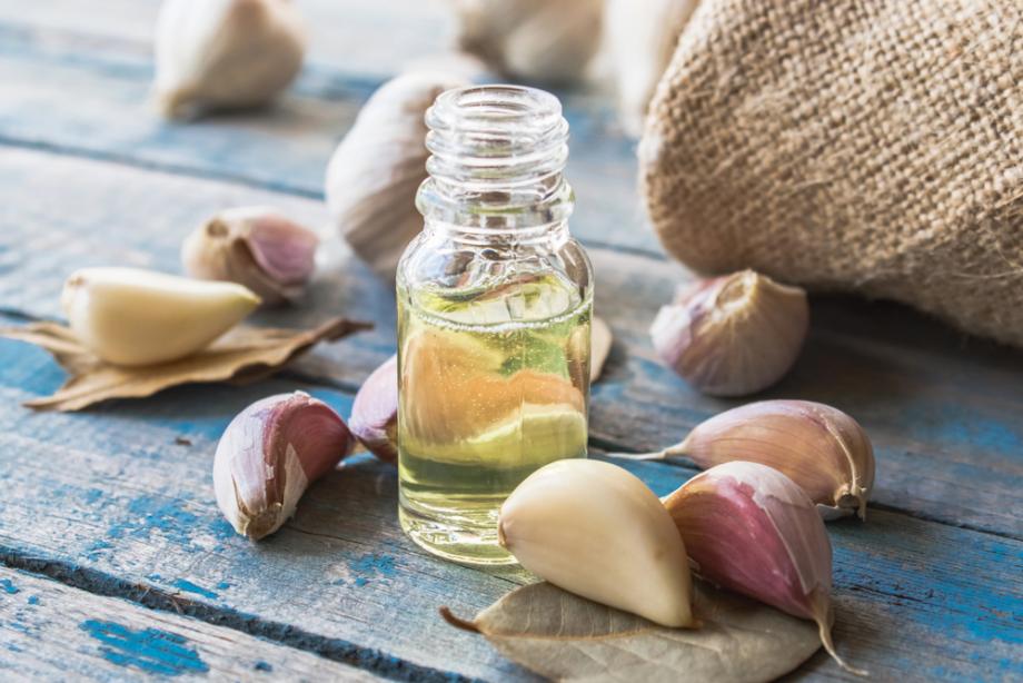 Nachhaltigkeit und ökologische Verantwortung