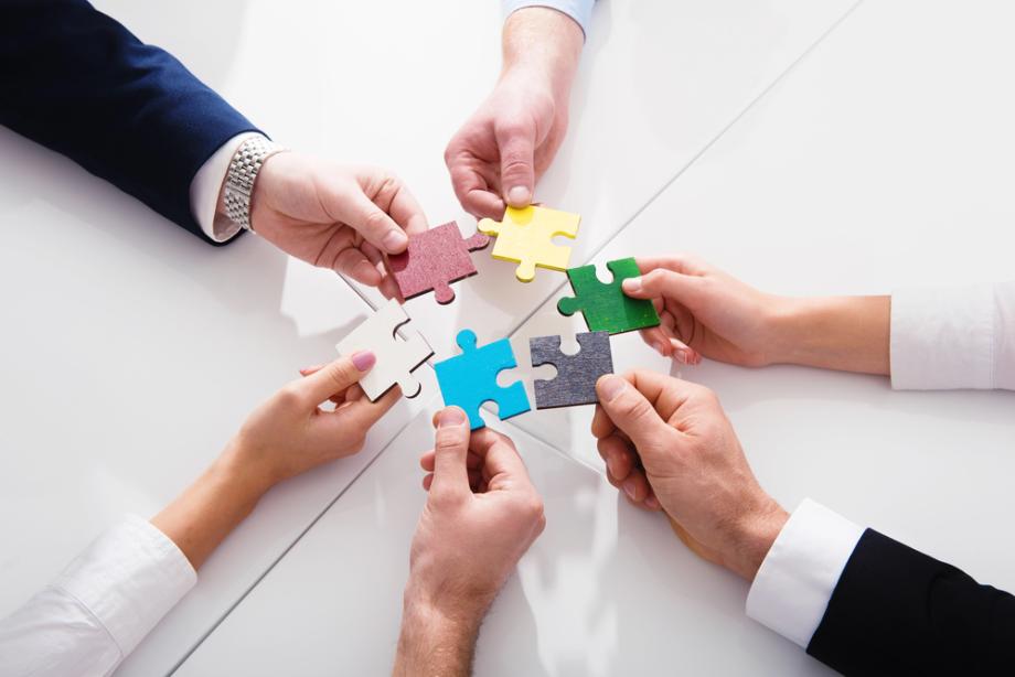 Struktur und Organisation innerhalb von Vereinen