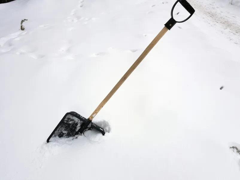 Hochwertiger Winterdienst und sichere Baumfällungen im Großraum Morbach