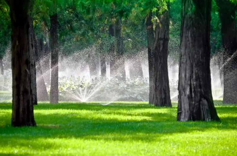 Effektive Bewässerungssysteme für Ihren Garten