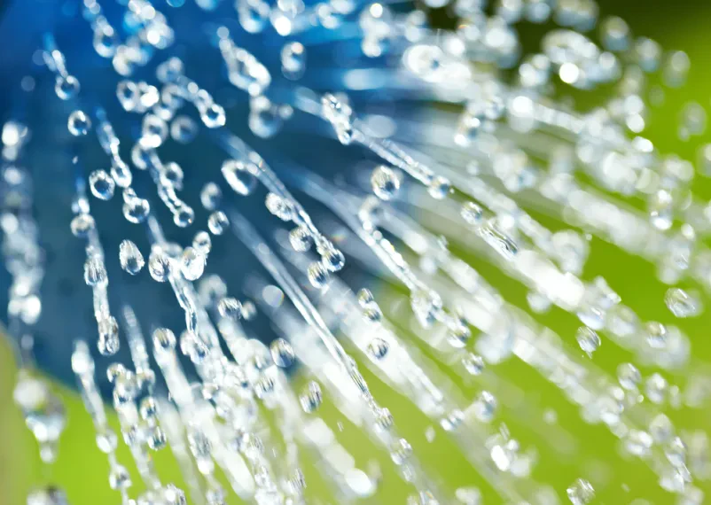 Günstige Gartenbaulösungen