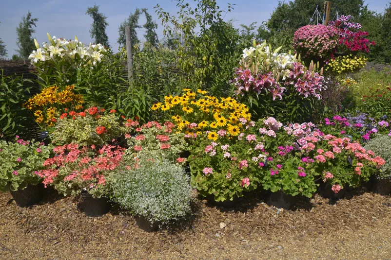 Die beste Wahl für Gartengestaltung und Landschaftspflege in Roßdorf