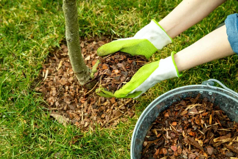 Professionelle Gartengestaltungsarbeiten im Landkreis München
