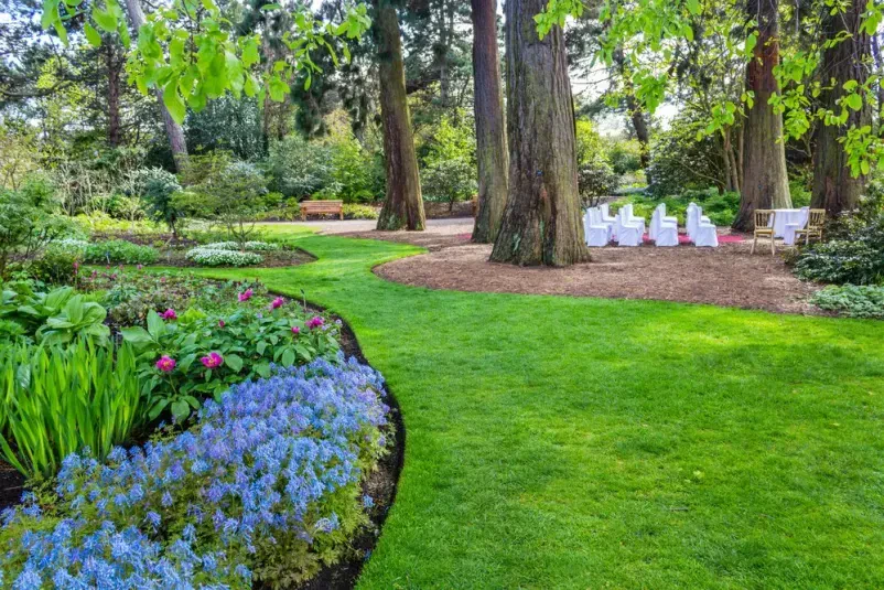 Gartenpflege, Gartenbau und Hausmeisterservice in Mainz-Kostheim