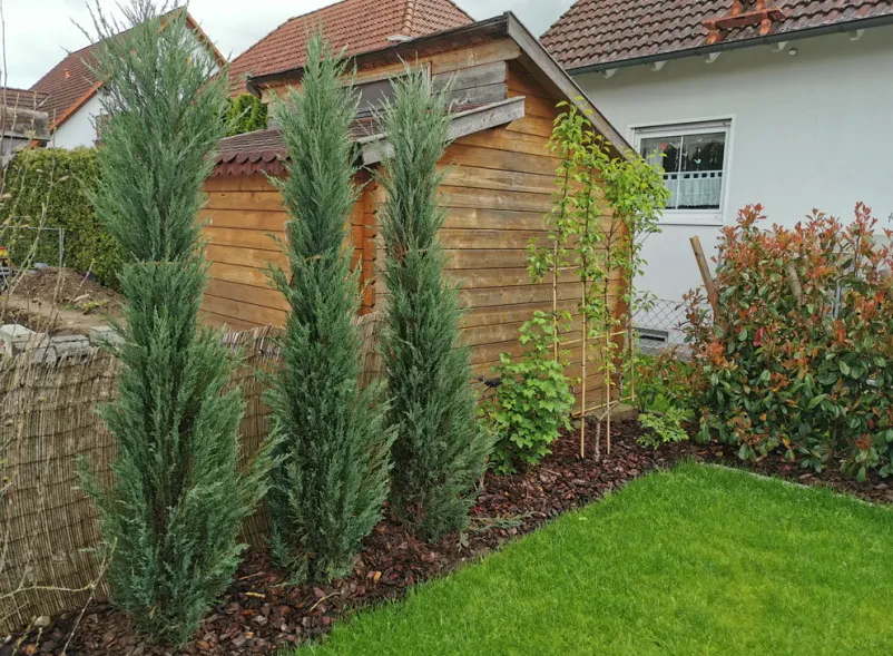 Hochwertige Gartenpflege und Gartenbau in Erlangen-Höchststadt