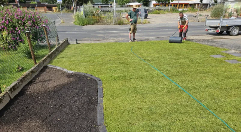 Hochwertige Gartenpflege und -gestaltung in Rheinland-Pfalz und Umgebung