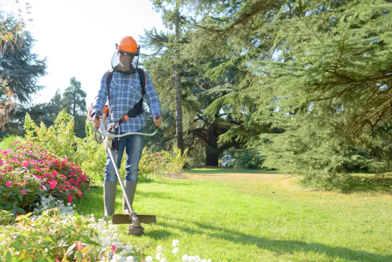 Fachgerechte Gartenpflege im Westerwaldkreis