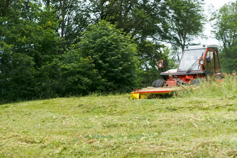 Günstige Pflege von Böschungen, Feldwegen und Landschaftsflächen in Waiblingen und Rems-Murr-Kreis
