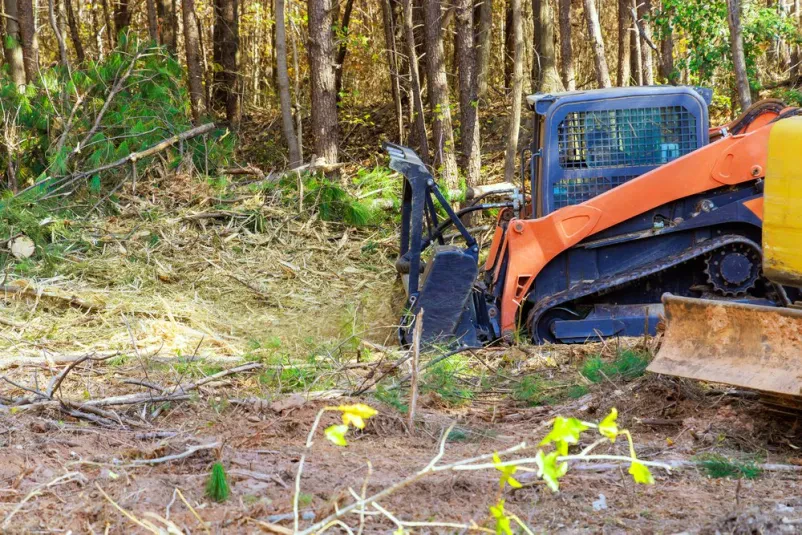 Landschaftspflege mit professionellen Mulcharbeiten in Sulzbach, Hanau und Frankfurt
